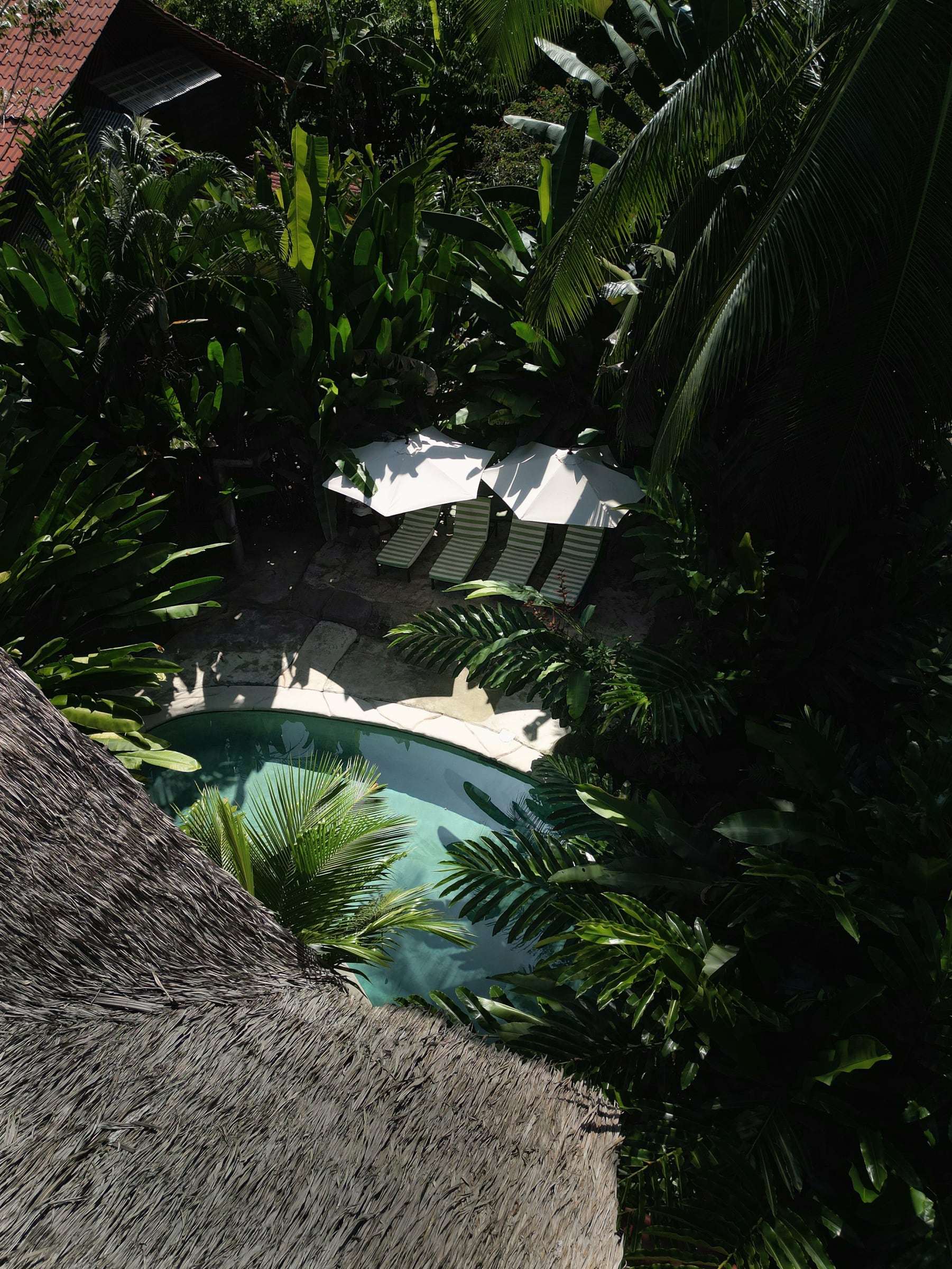 Looking down past the palm-thatch roof onto the pool, loungers and white umbrellas in the jungle garden