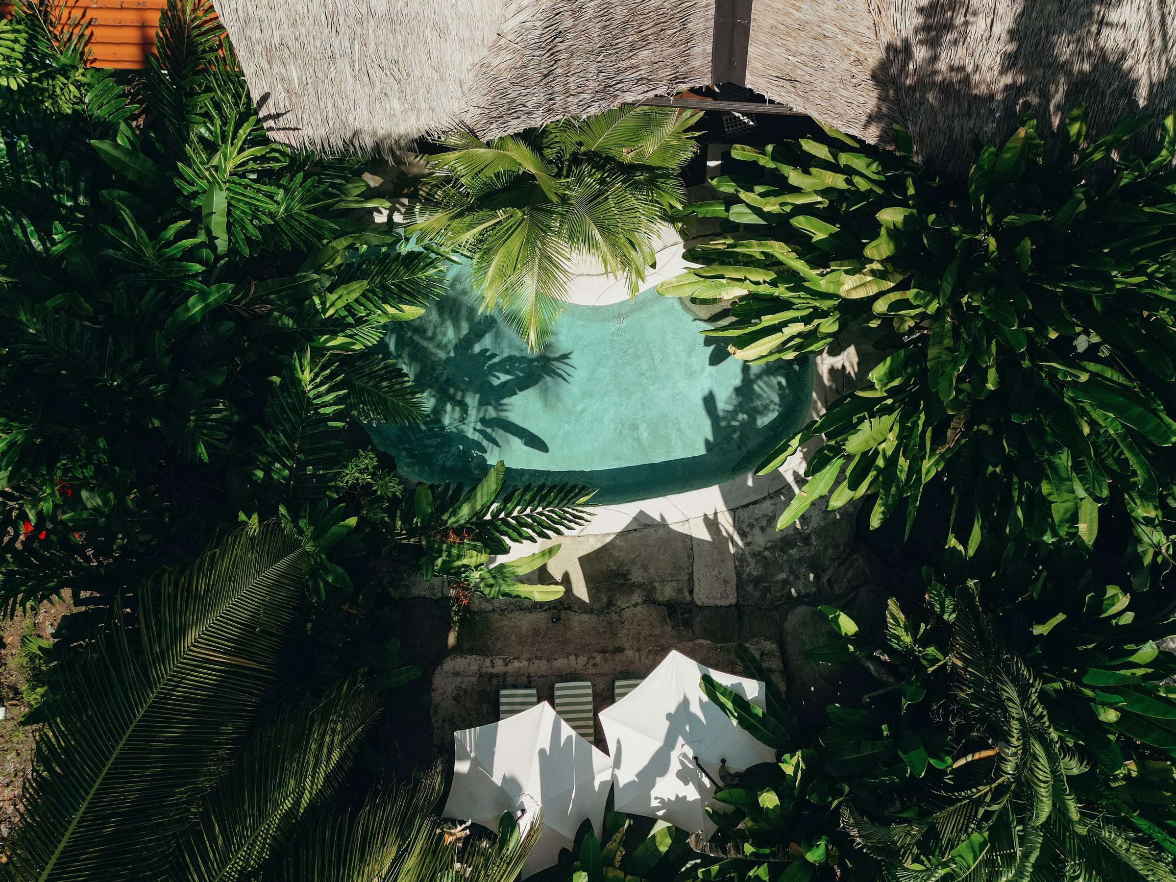 Drone view straight down onto the pool, white umbrellas and loungers ringed by jungle