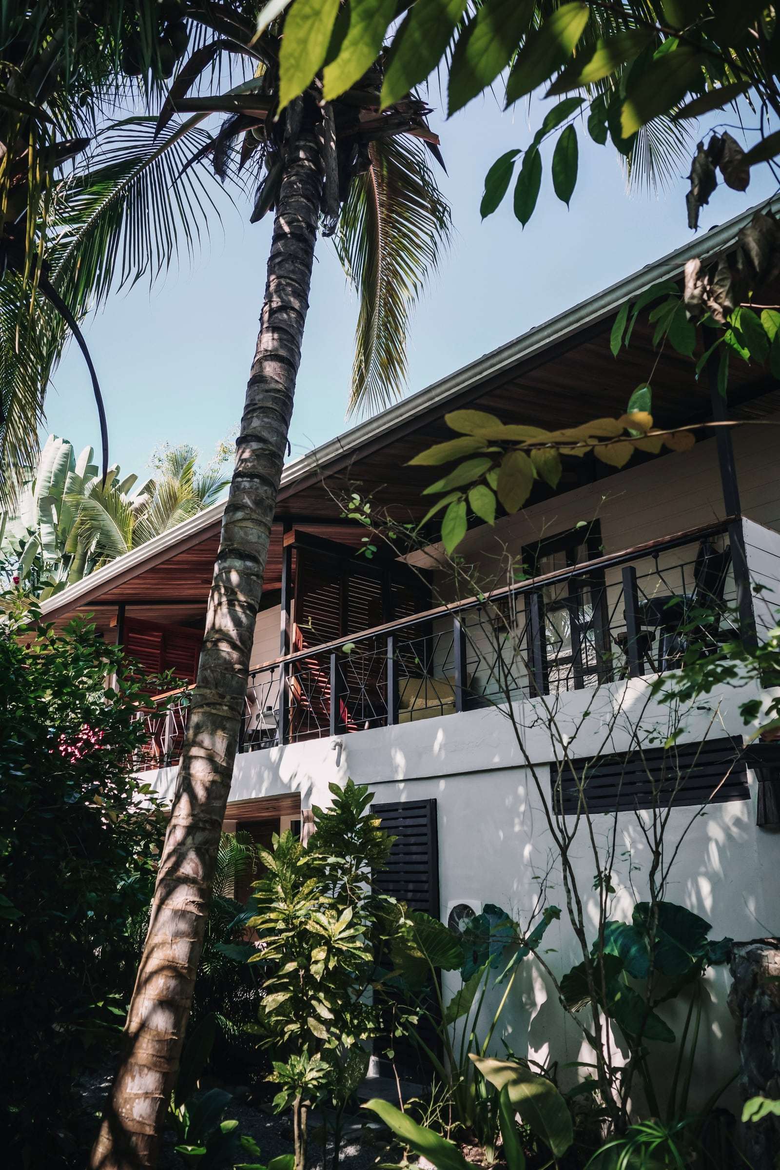 Leaning palm in front of the white upper-floor balconies against a blue sky