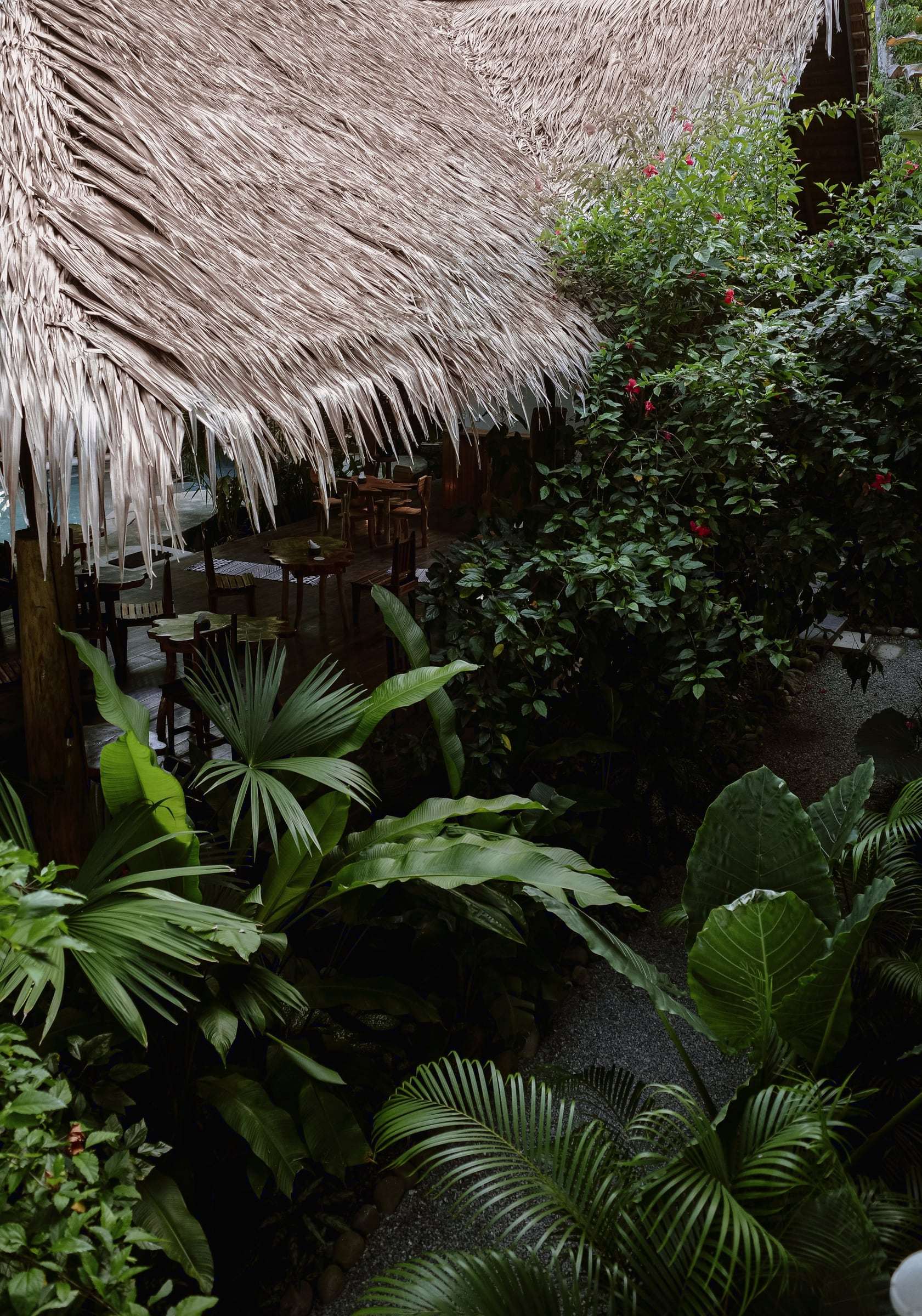 Looking past the palm-thatch eave down onto the rancho tables and a garden of palms and red flowers